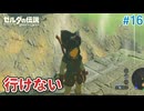 【ゼルダの伝説BotW】初めてのブレワイ！折れない心で未知の世界へ！#16【実況】