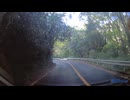 椿ライン（湯河原町➝箱根）①.mp4 (1440p)