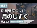 RUI(柴咲コウ)「月のしずく」をアルトサックスで演奏 楽譜 コード 付き演奏動画