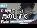 RUI(柴咲コウ)「月のしずく」をフルートで演奏 楽譜 コード 付き演奏動画