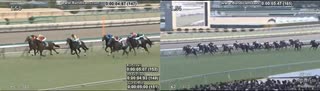 2025 京成杯 (ニシノエージェント)vs2024 ホープフルS (クロワデュノール)