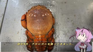 珍食材が食べたい！#208 アサヒガニ炒飯