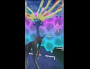 #ポケモンgo #gbl 久々にザシアン見てテンパったけど勝ち！ ランドロス ディアルガ ゼルネアス ザシアン ディアルガ 月食ネクロズマ #shorts #マスターリーグ #pokemon