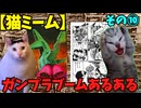 【猫ミーム】ガンプラブームに良くあった光景⑩　衝撃！バーニヤ付きザク！編