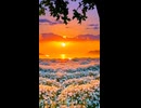 夕凪花景色・音に溶けるひととき