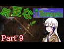 【Terraria】今更なテラリア　その9