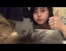 【しなせ】猫と納豆ごはん