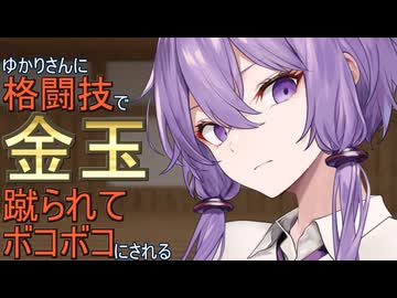 クールなゆかりさんに格闘技で金玉を蹴られてボコボコにされるお話