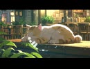 Lo-Fi BGM｜In the vanishing wind｜消えゆく風の中で