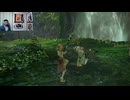 FF13-171