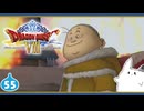 【DQ8＊実況】これが現状最後の初見で大冒険！第五十五章