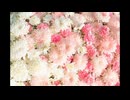 【オリジナル？アレンジ】ボツOP曲【DTM】
