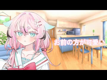 お前の方が可愛い【ソフトウェアトーク劇場】