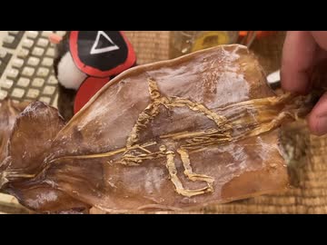 イカゲームやってみた（ハイボール）