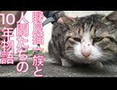猫一族と人間たちの縁、10年続く物語