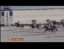 2025年1月21日高知競馬1R 東京スポーツ新聞社協賛 第３９回 全日本新人王争覇戦　第１戦(C3-6組) バンクショット