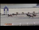 2025年1月21日高知競馬2R ＪＲＡ交流競走 竜頭盃(JRA3歳未勝利・3歳C3以下) リューノス