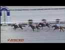2025年1月21日高知競馬3R 東京スポーツ新聞社協賛 第３９回 全日本新人王争覇戦 第２戦(C3-3組) ヒノタマボーイ