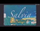 bootleg/Salvia.feat.初音ミク(ボカロ曲)