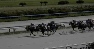 2024年10月13日_金沢競馬_1R_ずきゅんどきゅん胸が鳴るウマ娘コラボ記念