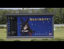 2024年10月13日_金沢競馬_2R_ささやかな祈り記念