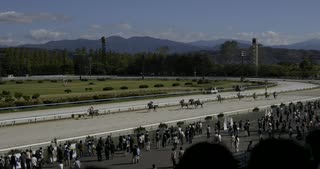 2024年10月13日_金沢競馬_4R_今日もウララかケセラセラ記念