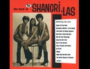 The Shangri-Las - Leader Of The Pack