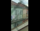 童謡「ちょうちょ」を歌うカラス