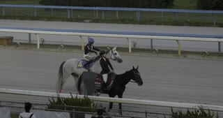 2024年10月13日_金沢競馬_8R_能登波の花賞_馬場入場