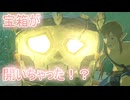 【ブレワイ】依頼を受けて、宝箱が開くシーンでポーズを取ってみた【ドリカラ】【ボイスピ実況,ゼルダの伝説,ブレスオブザワイルド,BotW,バグ,検証 】