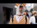 外国人と娘を驚かす埼玉の鹿