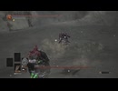 奴隷騎士ゲールアイテムのみ