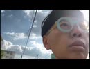 ニンポー（千代豊和）　散歩