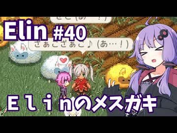 【Elin】ニュートラルペイシェントゆかり Part40