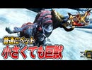 【MHXX/HD】視聴者の方に教えてもらったクエストをやる【モンスターハンターダブルクロス】#57