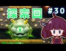 カリモノ暮らしのキリエッティ#30　（ゼルダの伝説知恵のかりもの）