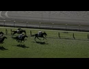 2024年11月24日_東京競馬_2R_2歳未勝利_芝1600