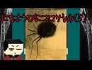 【ゆっくり実況】日曜日から、逃げろ。にちようびにコロサレルpart5【ホラーゲーム】