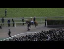 2024年11月24日_東京競馬_12R_ジャパンカップ_芝2400_馬場入場