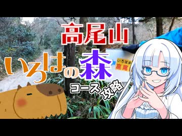 【リアル登山アタック】高尾山いろはの森コース攻略
