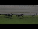 2024年10月27日_東京競馬_2R_2歳未勝利_芝1600