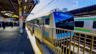 【鉄道】JR東日本 E233系1000番代 都サイ141編成 2023/01/02【セレガーラ提督】