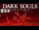 【DARK SOULS REMASTERED】23歳、初めてのダークソウル。Part28【実況】