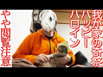 【やや閲覧注意】珍妙猫の奇祭・ハロイン、開催される