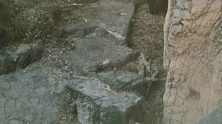 呪怨 (1080p)