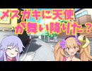 メスガキと天使と無限路地【ソフトウェアトーク劇場】