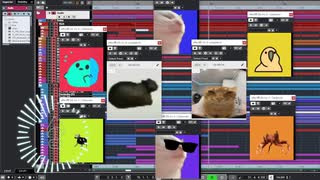 カッコいいEDMが出来たので猫に踊ってもらう