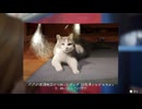 43歳は過去を変えられる？？『Life is Strange: Before the Storm Remastered』実況【ネタバレ注意】8