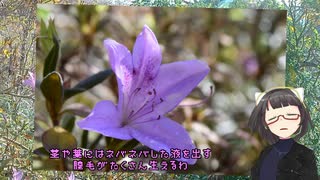 原付峡谷撮影日誌(仮)#3