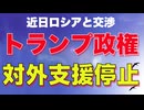 【ウクライナ】アメリカが支援を停止！プーチン／トランプ会談が近日実現か